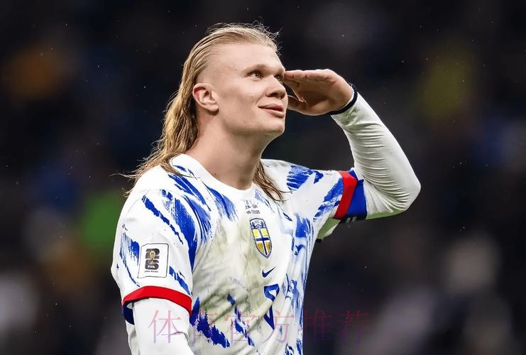 本届世界杯葡萄牙哈兰德小组赛形势深度解读 本届世界杯葡萄牙哈兰德小组赛形势深度解读